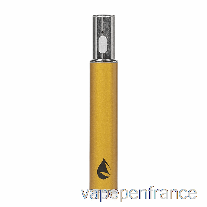 Feuille Buddi Max Iii 3 650mah Batterie Or Vape Stylo